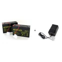 Divers Marques 2 Batteries Plomb Bateau AMORCEUR CATAMARAN ANATEC 6V 12Ah + Chargeur ...