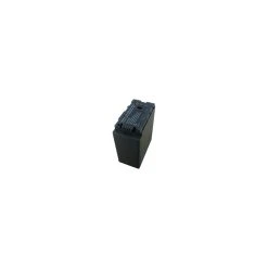 Batterie Pour PANASONIC HDC-TM300