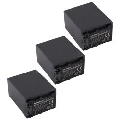 VHBW EXTENSILO 3x Batteries Compatible Avec Sony HDR-CX500E, HDR-CX360VE, H...