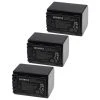 VHBW EXTENSILO 3x Batteries Remplacement Pour Sony NP-FH100, NP-FH50, NP-FH...